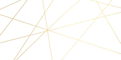 Abstract background made of luxury golden geometric random chaotic lines.