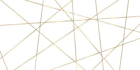 Abstract background made of luxury golden geometric random chaotic lines.