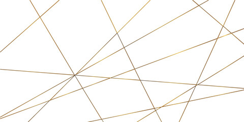 Abstract background made of luxury golden geometric random chaotic lines.