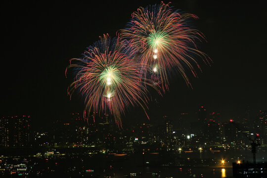 東京湾大華火祭 in 2013