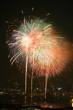 東京湾大華火祭 in 2013