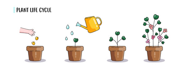 Cartoon potted plat growth stages. icon set of flower growth process. Vector minimal cartoon isolated illustrations of plants or flowers life cycle. 