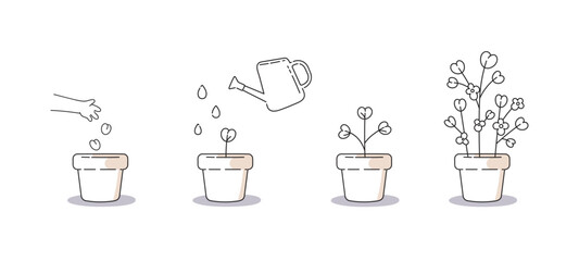 How to grown plants instruction. Minimalist set of icons about planting and plant growth process. From seeding to result.