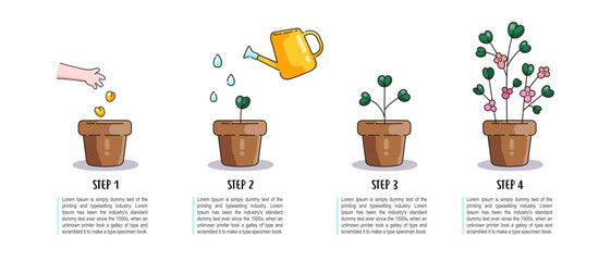 Step by step instructions on how to grow flowers and plants. 4 steps cartoon image how to grow plants yourself at home. Isolated icons with text. Vector for a blog, tutorial, article.  © Takoyaki Shop