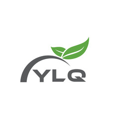 YLQ letter nature logo design on white background. YLQ creative initials letter leaf logo concept. YLQ letter design.