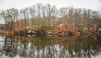 Fototapeta premium New England Reflective Lake