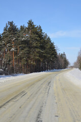 Obraz premium Landscapes of February. The road in the winter forest.