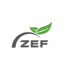 ZEF letter nature logo design on white background. ZEF creative initials letter leaf logo concept. ZEF letter design.
