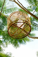 light in the cage hanging on tree