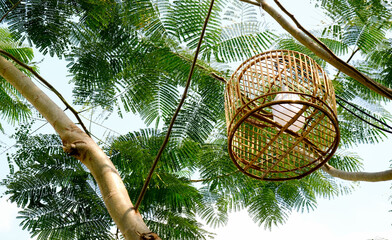 light in the cage hanging on tree