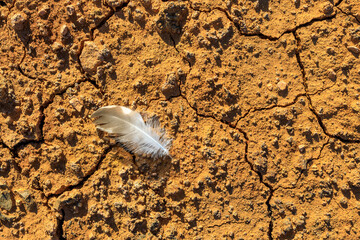 a light feather falling on dry soil