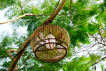 light in the cage hanging on tree