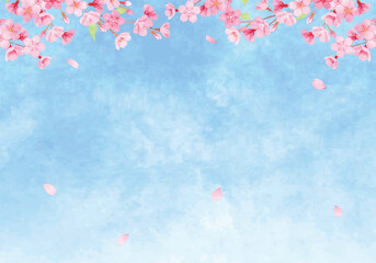 手描き水彩　桜の背景イラスト　