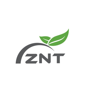 ZNT letter nature logo design on white background. ZNT creative initials letter leaf logo concept. ZNT letter design.