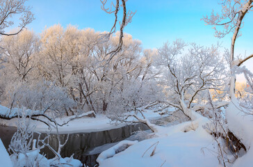Winter landscape with snow covered trees and forest river