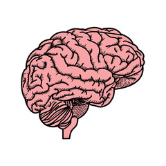 human brain medical vector illustration icon isolated on white background