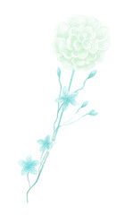 Isolated softness teal blue floral design elements. Light green flower and blue small flowers on white background. Watercolor painting softness flowers.