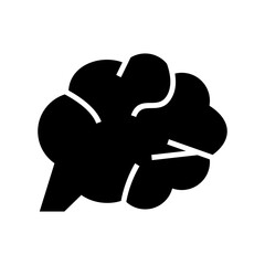 brain icon or logo isolated sign symbol vector illustration - high quality black style vector icons
