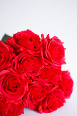 白背景　薔薇の花束