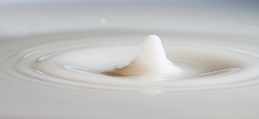 Milk is a white liquid food produced by the mammary glands of mammals