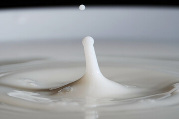 Milk is a white liquid food produced by the mammary glands of mammals