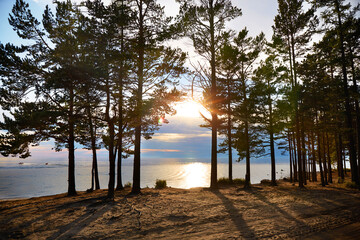 Fototapeta na wymiar Sunset over the lake in summer. The rays of the sun shine through the crown of pine trees growing on the shore of the lake.