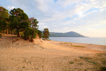 Sandy beach by the lake. Beautiful summer landscape. Wild untouched nature.