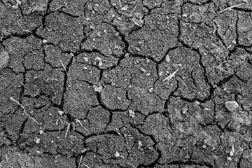 Crack land, close-up. Crackered earth texture. Background of soil with cracks for publication, design, poster, calendar, post, screensaver, wallpaper, postcard, banner, cover. High quality photo
