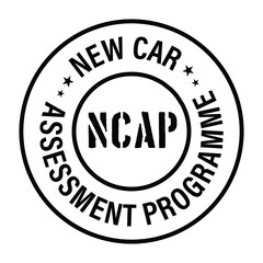 Fototapeta na wymiar ncap- new car assessment programme vector icon, black in color