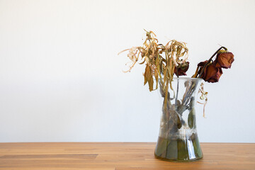 Old dead wilted 
flowers in glass vase on wooden table