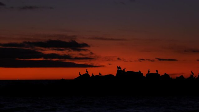 Dark Sunset With Birds On Horizon Sun Setting Golden Hour At Glenelg Beach Bay Sunset