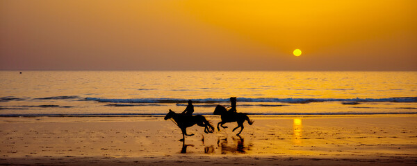 Two horses on the beach at sunset