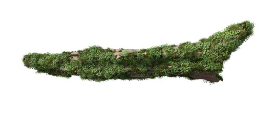 Logs with plants and moss on a transparent background.