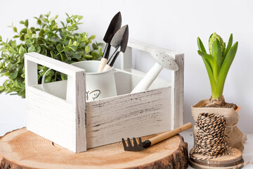 Hyacinth flower with garden tools and watering can isolated on a white background. Gardening concept. Disembarkation. flowers in spring.