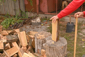 Preparation for chopping firewood. The log is installed on the stump.