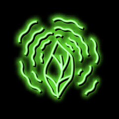 dry leaf phytotherapy neon glow icon illustration