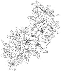 bellflower isolated, hand-drawn floral element. vector illustration bouquet of bellflowers, sketch art beautiful zentangle doodle flower tattoo, coloring page for adults on white background.