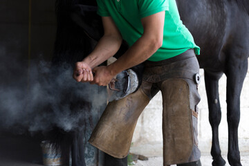 Unrecognisable farrier place hot horseshoe on horse's hoof