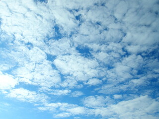 早春の朝の青空と雲