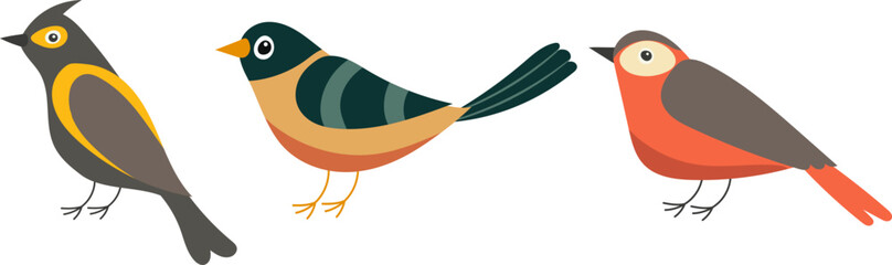 birds on white background isolated vector