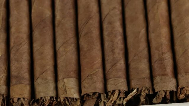 cigares en gros plan dans une boite