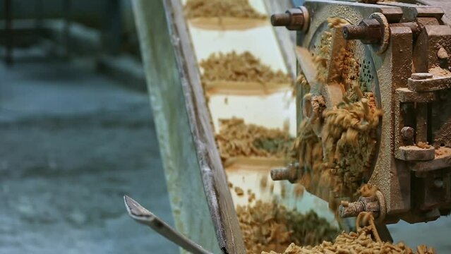 Closeup of a soap plodder machine and raw soap moving on conveyor