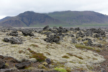 Fototapeta na wymiar Lava field Berserkjahraun