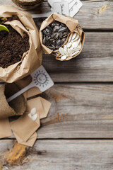 Pumpkin and sunflower seeds, peat pot and paper bag with soil on wooden table. Preparation for planting seeds in spring. Top view