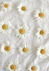 Obraz premium Daisy Flowers background . chamomile flowers pattern on beige linen texture top view. Aesthetic botanical poster