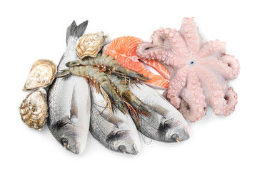 Fresh dorado fish, octopus, shrimps, oysters and salmon on white background, top view