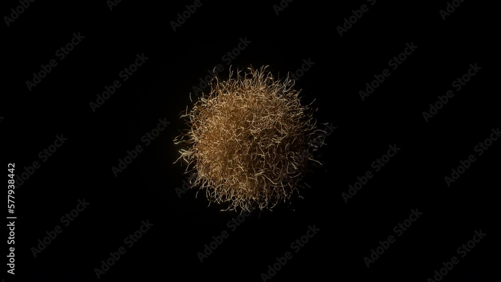 Poster abstract 3d render. growing golden wires. background animation. motion graphics. 4k gold geometric a