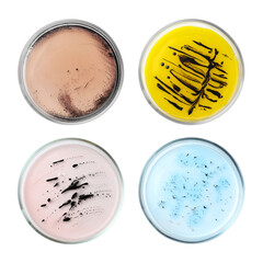 Set of Petri dishes with different bacteria culture on white background, top view