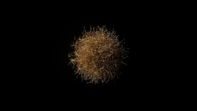 Abstract 3D Render. Growing golden wires. Background Animation. Motion Graphics. 4K Gold Geometric Animation. Sphere objects. 