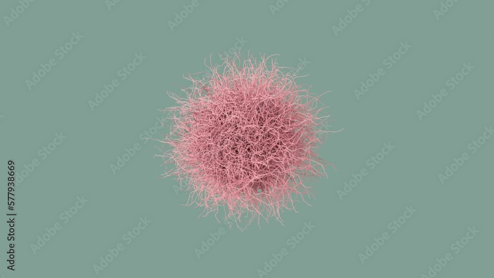 Poster abstract 3d render. growing wires. background animation. motion graphics. 4k geometric animation. sp